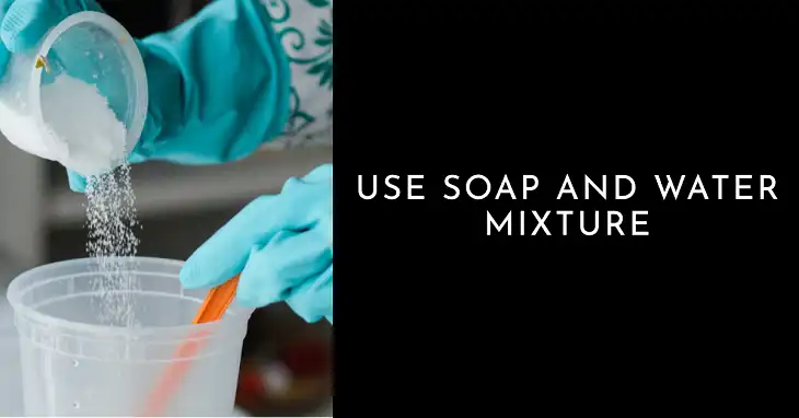 Use Soap and Water Mixture